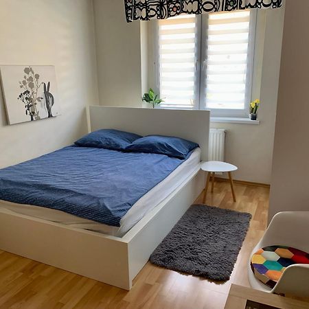 Apartament Joanna Parter Blisko Onkologii I Strefy Ekonomicznej Gliwice Extérieur photo